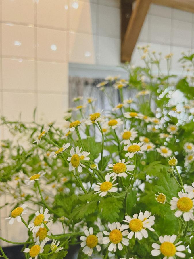 Ivy House 호텔 후에 외부 사진